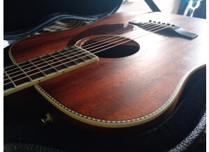 Fender PM-1 Standard Dreadnought NE All-Mahogany (96981)