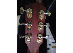 Fender PM-1 Standard Dreadnought NE All-Mahogany (96722)