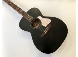 Art & Lutherie Legacy (76061)