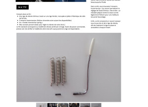 Fender Special Edition Lite Ash Stratocaster (59886)