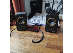 Tannoy Gold 5 (19010)