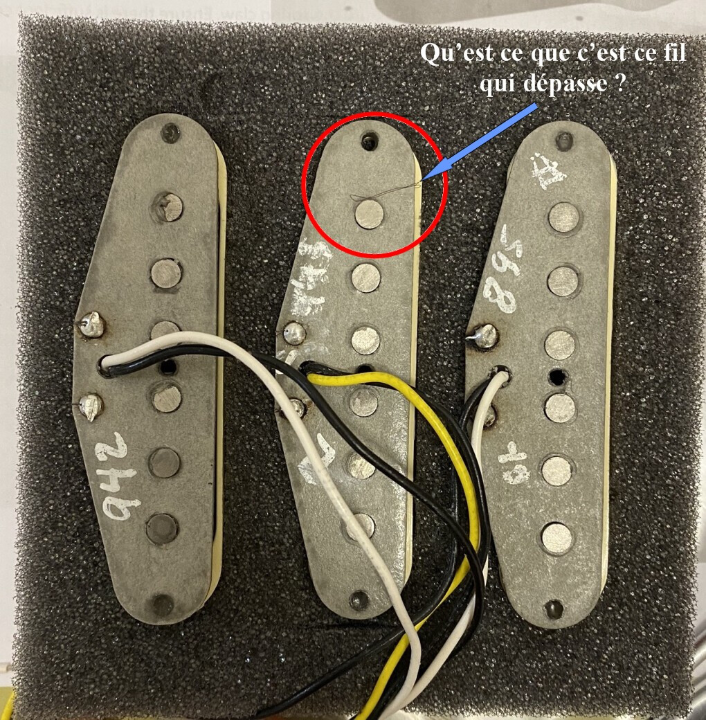 4600551.jpeg 4600551.jpeg