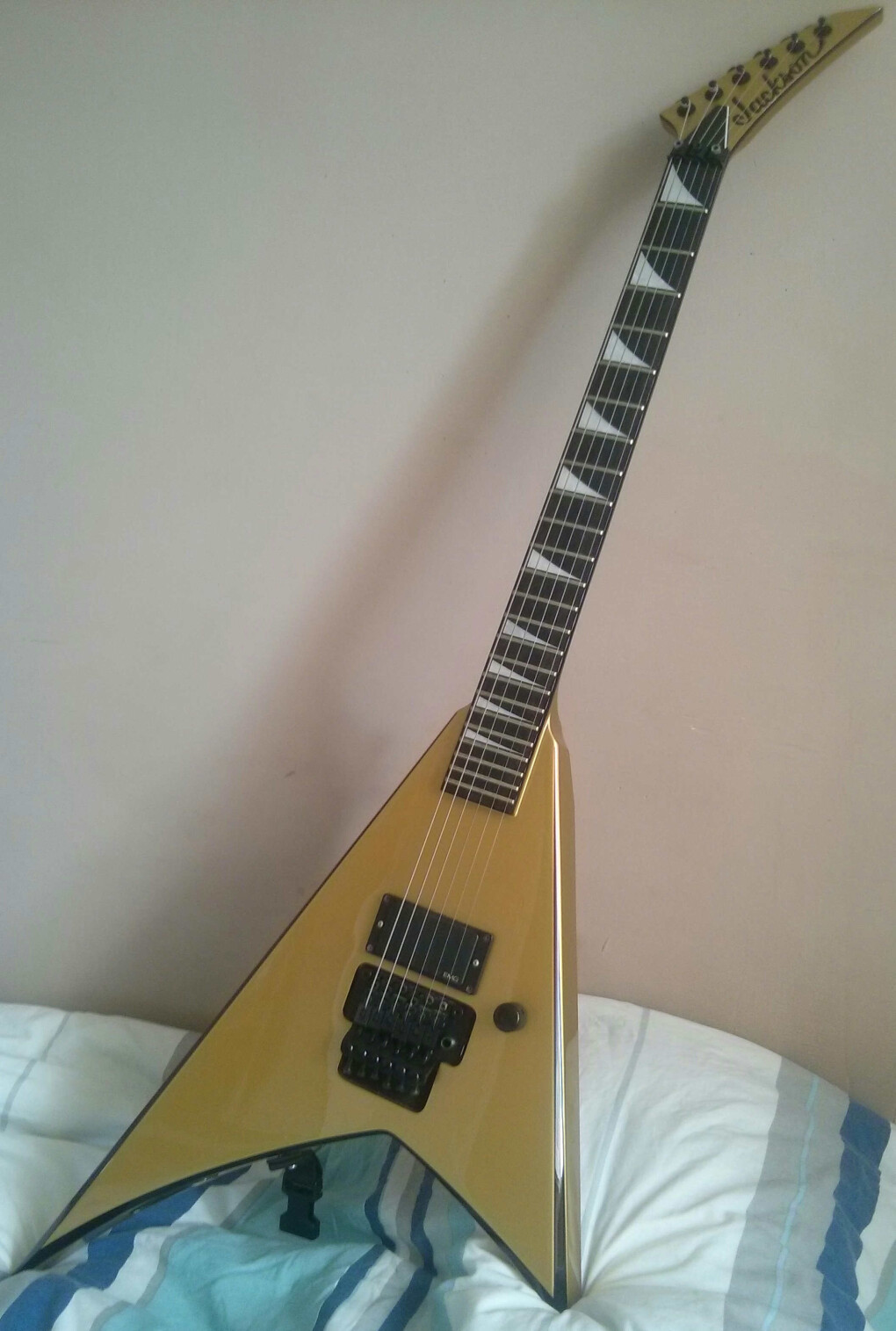 4601475.jpg 4601475.jpg