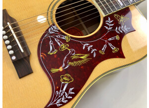 Gibson Hummingbird (31003)