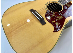 Gibson Hummingbird (40301)
