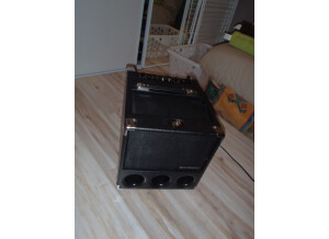 Phil Jones Bass Flightcase BG-150 (45014)