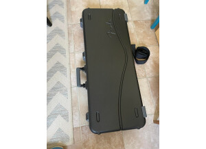 Fender American Professional Stratocaster (29902)