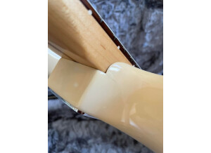 Fender American Professional Stratocaster (58953)