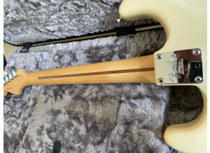 Fender American Professional Stratocaster (41205)