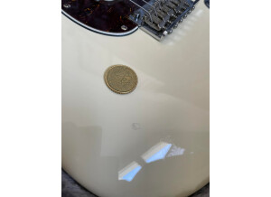 Fender American Professional Stratocaster (22221)