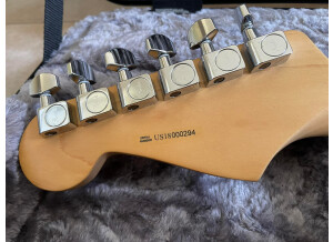 Fender American Professional Stratocaster (38432)