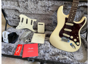 Fender American Professional Stratocaster (23851)