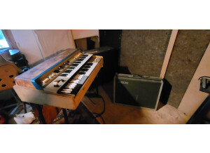 Farfisa Compact Duo MK1 (52706)