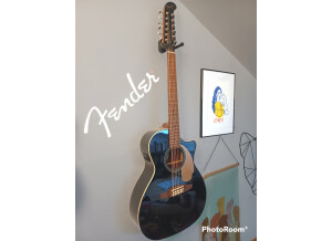 Fender Villager 12 String (2018)