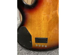 Lakland Skyline 44-01 (20590)