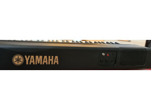 Yamaha P-60
