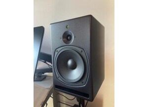 PSI Audio A21-M (37107)