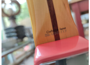 Fender Stratocaster Paisley Reissue (81826)