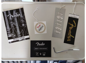 Fender Stratocaster Paisley Reissue (7665)