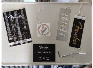 Fender Stratocaster Paisley Reissue (38974)