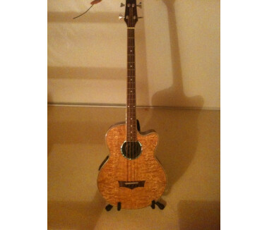Peavey Aberdeen Bass