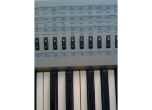 Yamaha CS2X (92964)