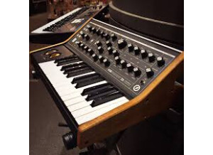Moog Music Subsequent 25 (53406)