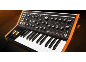 Moog Music Subsequent 25 (87169)