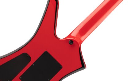 kellykexneck kellykexneck