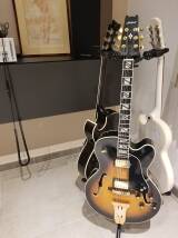 Aria Pro II PE-175 Herb Elis