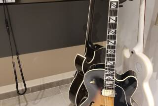 Aria Pro II PE-175 Herb Elis