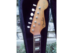 Fender Jimmy Dale Signature Kingman SCE (61462)