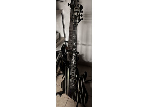 Schecter Synyster Custom [2007-2016]