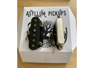 Asyllum Pickups Special Custom