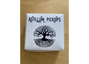 Asyllum Pickups Special Custom