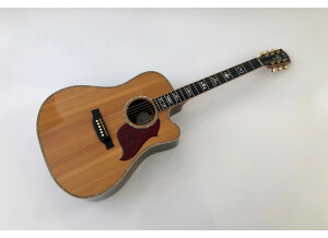 Gibson Songwriter Deluxe Custom EC (95662)