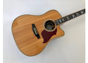 Gibson Songwriter Deluxe Custom EC (57477)