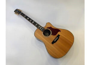 Gibson Songwriter Deluxe Custom EC (61231)