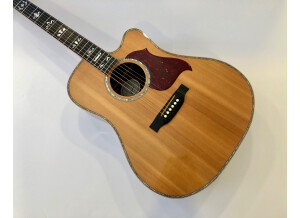 Gibson Songwriter Deluxe Custom EC (20922)