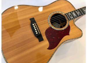 Gibson Songwriter Deluxe Custom EC (86504)