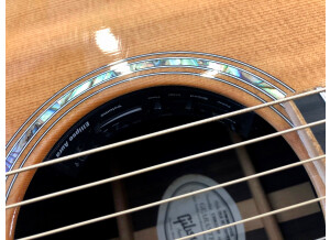 Gibson Songwriter Deluxe Custom EC (26439)