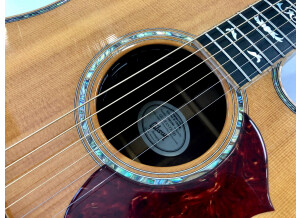 Gibson Songwriter Deluxe Custom EC (41123)