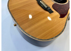 Gibson Songwriter Deluxe Custom EC (59317)