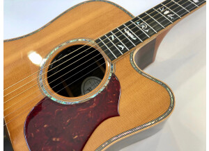 Gibson Songwriter Deluxe Custom EC (20563)