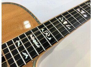 Gibson Songwriter Deluxe Custom EC (3404)