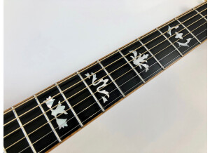 Gibson Songwriter Deluxe Custom EC (4447)