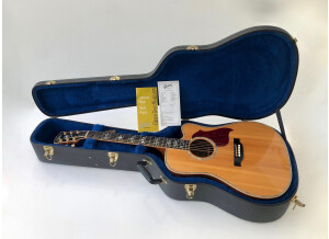 Gibson Songwriter Deluxe Custom EC