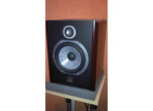 Focal Solo6 Be (17453)
