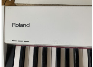 Roland FP-4 (2675)