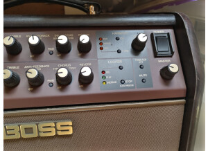 Boss Acoustic Singer Live (61592)